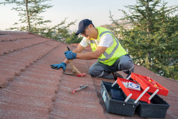 Best Roof Gutter Cleaning  in Naples Park, FL